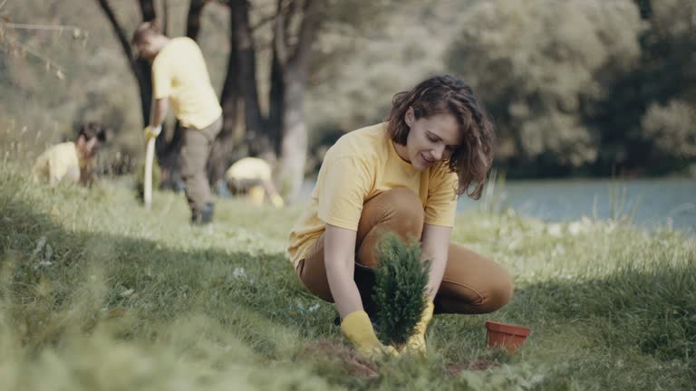 Best Lawn Irrigation Installation and Maintenance  in Muskego, WI